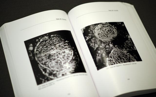 Sample picture from book: The Historical Debate on the Chondrites