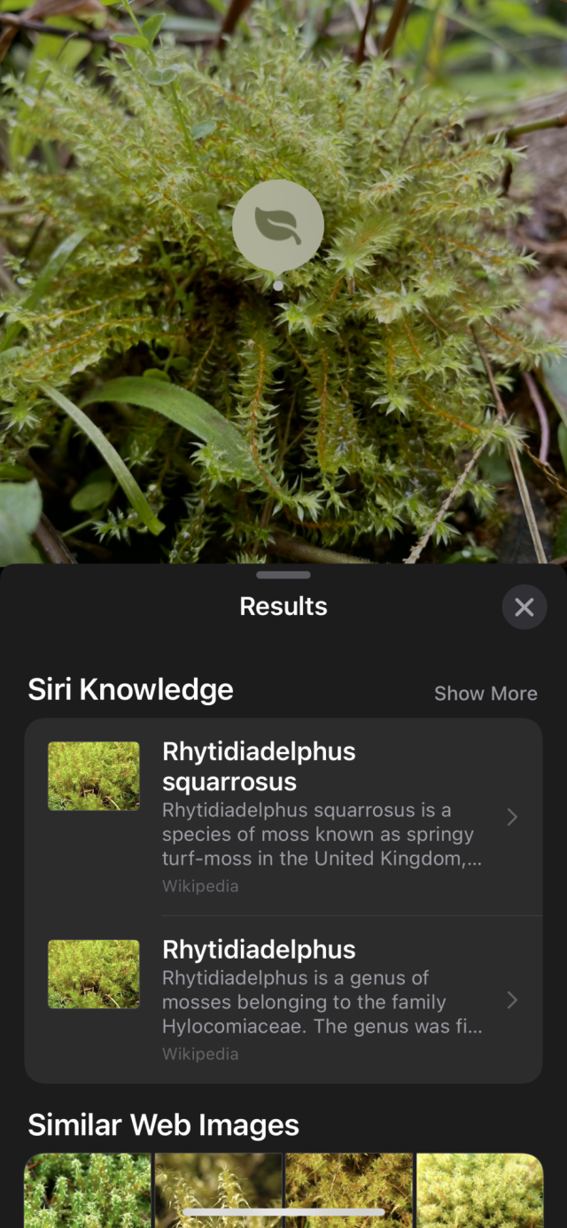 Results of the lookup plant function
