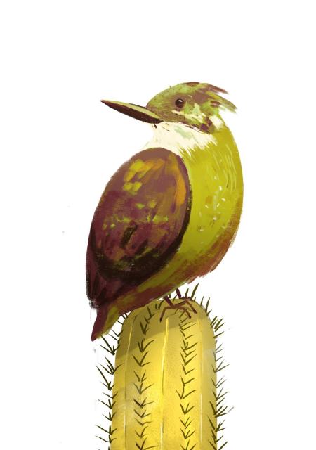 digital painting; a bird on the top of a cactus