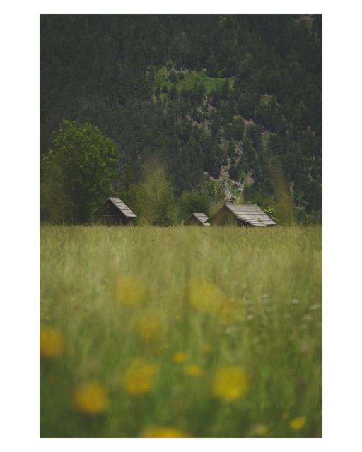 EN: Picture shows the roofs of some barns above the high grass of a meadow.

DE: Bild zeigt die Dächer einige Scheunen über dem hohen Gras einer Wiese.