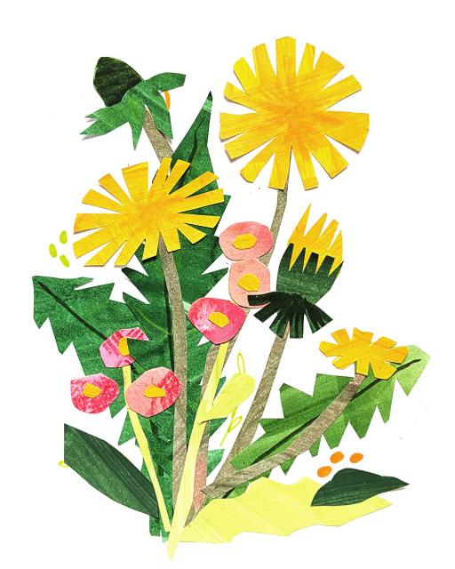 A papercut collage of some stylised dandelions. There are dandelion flowers in different stages of bloom - some buds and some in full bloom. There are also some simple round pink flowers, and in the background you can see some long dandelion leaves with zigzag edges. 