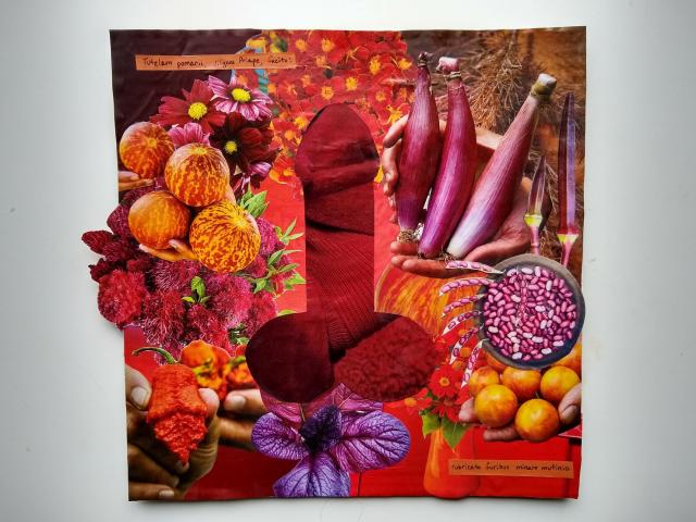 A photo of a collage. A red dick and balls shape is in the center; it is surrounded by flowers and garden produce, all on the red spectrum — deep red-purple, orangey-reds, up to yellows. Some of the produce is held by hands, giving the impression that they're presenting offerings. A handwritten Latin poem appears top left and bottom right (see post text).