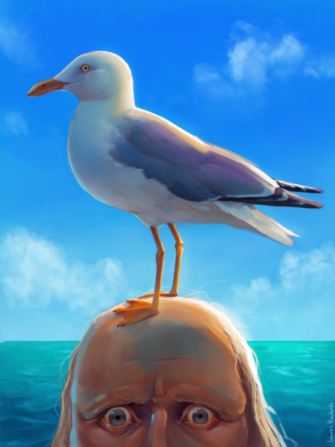 Fanart of Karl and Buttons from the show Our Flag Means Death. Karl is a seagull who is standing on Buttons head. Buttons is a balding man with wide eyes. They are in front of the ocean and a blue sky, the image cuts off right under Buttons' eyes.