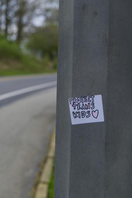 A photo which focuses on a sticker that reads: "Protect Trans Kids." It has a heart drawn on the sticker and has transgender pride colors.