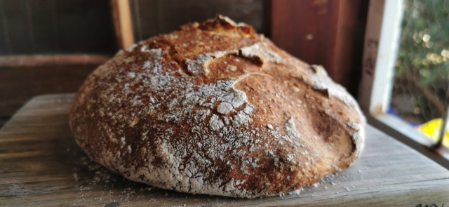 Side shot of a big round loaf of bread baked to a dark crust with a coating of flour on it.
