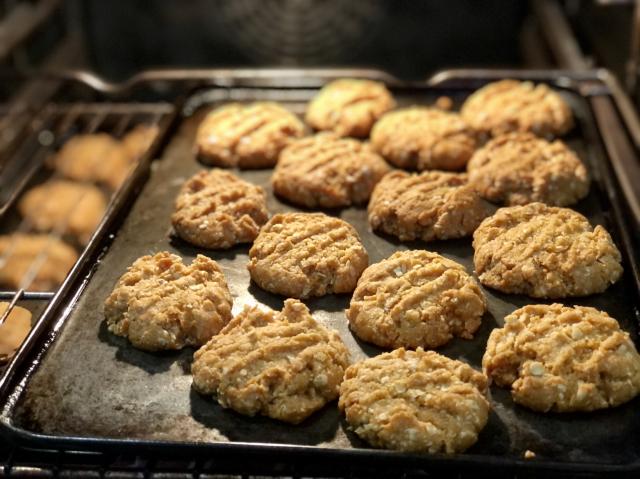 Two trays of anzac biscuits in a regular oven. 
