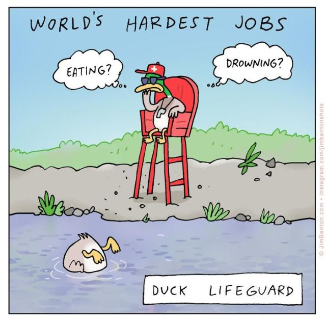 Duck job