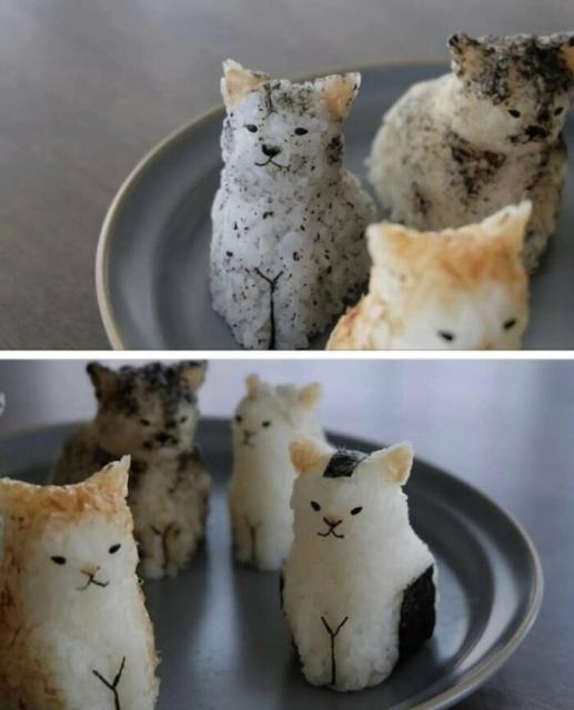 cat onigiri