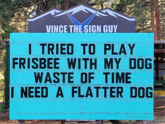 frisbee
