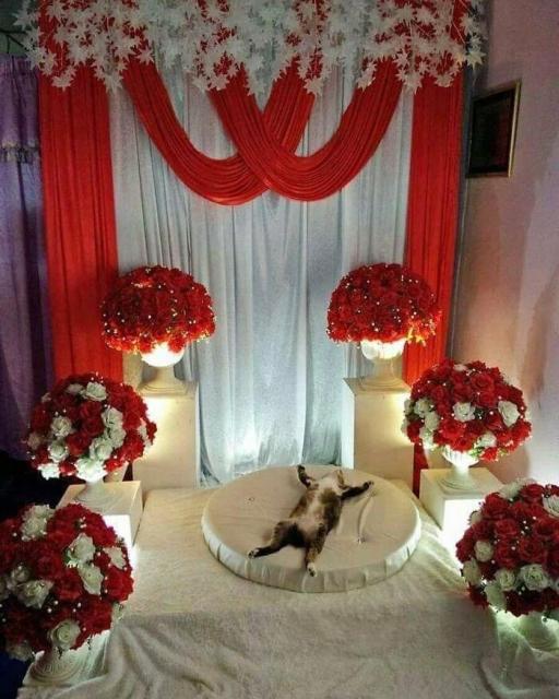 wedding display