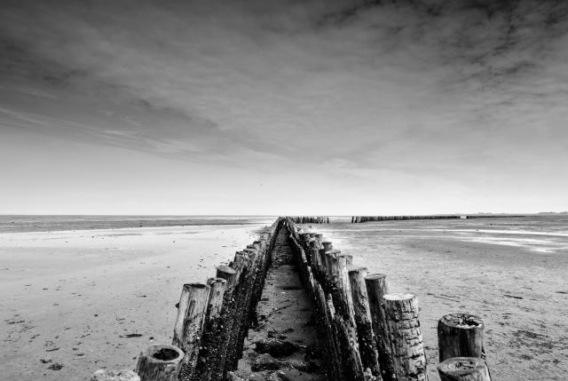 Bild von einer Reihe Lahnungen im Wattenmeer bei Ebbe. Das Bild ist in Schwarz-Weiß aufgenommen.
