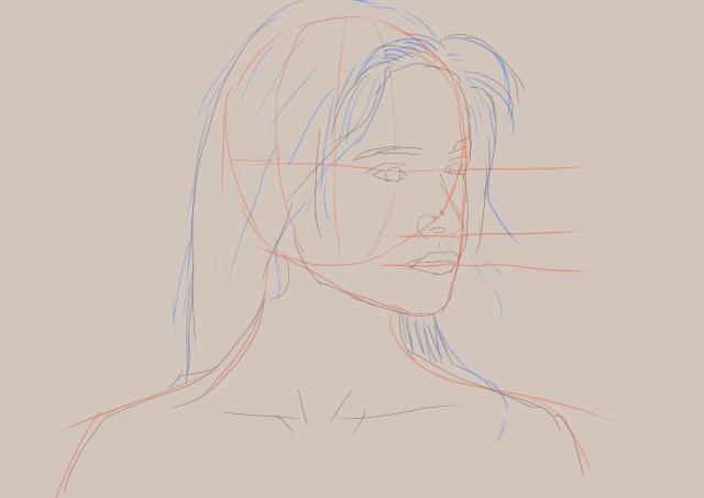 3/4 Ansicht einer Person. Es sind Haare und verschiedene Abschnitte des Kopfes farblich hervorgehoben.