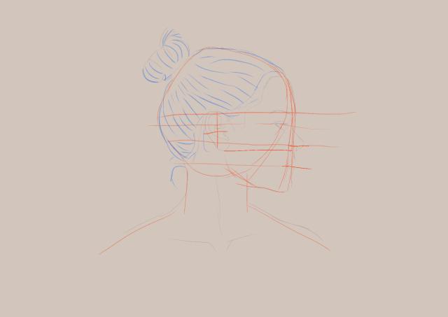 Seitenansicht einer Person. Es sind Haare und verschiedene Abschnitte des Kopfes farblich hervorgehoben.