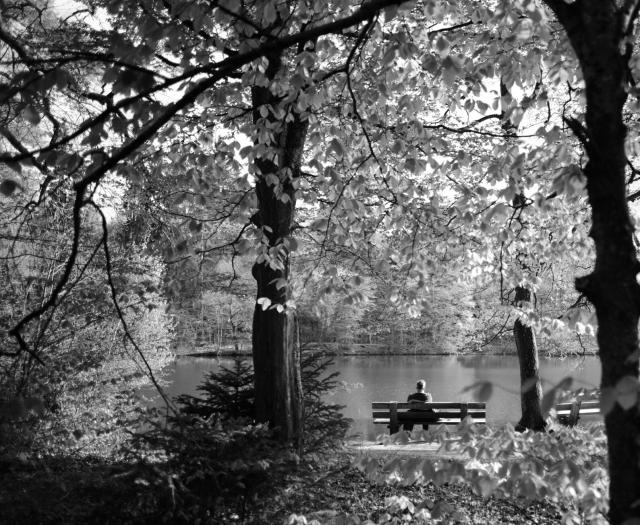 Ein Mensch sitzt auf einer Bank an einem See und schaut in die Ferne. Das Bild ist aus einiger Entfernung durch Bäume hindurch aufgenommen die alles Einrahmen.