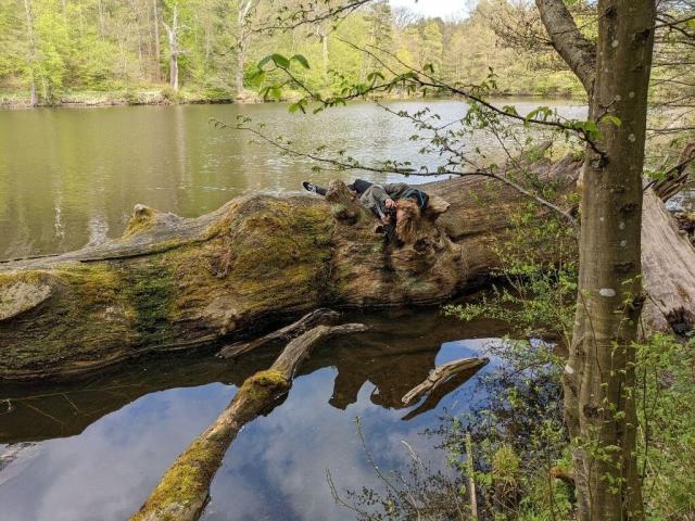 Ich beim hängen über einem Baum im Wasser aus einer anderen Perspektive.