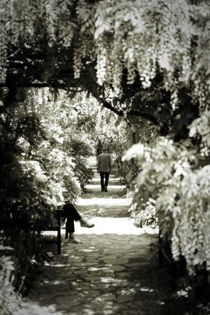 Ein Weg der Überdacht ist von hängenden Pflanzen. Auf einer Bank links im Bild sitzt etwas versteckt eine Person. Etwa in der Mitte des sichtbaren weges läuft eine Person. Auf dem Boden sind Licht und Schatten in gleichmäßigen Abständen zu sehen. Das Bild ist Schwarz-Weiß mit einem leicht warmen Ton