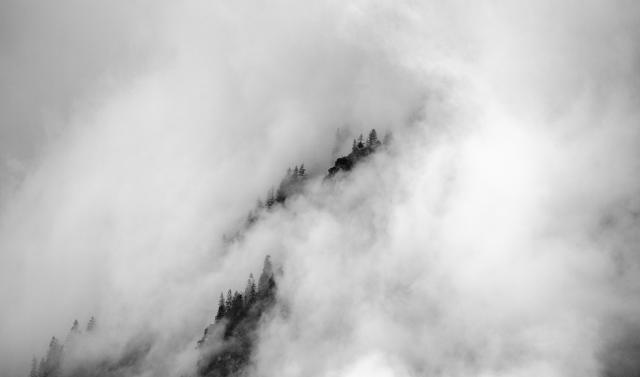 Eine Bergflanke die in Wolken eingehüllt ist. Nur an einigen wenigen Stellen schauen ein paar Bäume aus der Flanke. Das Bild ist in Schwarz Weiß aufgenommen.