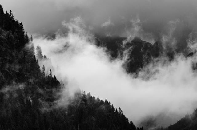 Bild in Schwarz-Weiß. Auf der linken Seite sieht man einen Berghang mit Nadelbäumen. Darin hängt über die ganze Bildmitte eine Wolke deren Ausläufer nach oben streben. Im Hintergrund sind weitere dunkle Wolken und Berggipfel zu erahnen.