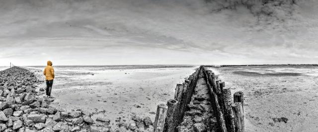 Schwarz-Weiß Panorama. Leicht recht der Mitte findet sich ein  Doppelreihe aus Baumstämmen die bis zum Horizon verläuft wo sie leicht abknickt. Links und Rechts daneben sieht man das Watt der Nordsee bei Ebbe. Ganz Links sieht man die Steinbefestigung einer Fahrrinne. Daneben steht eine von der Kamera abgewendete Person in leuchtend gelber Regenjacke und schaut in die Ferne.