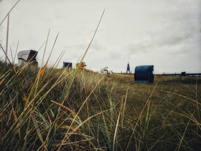 Gras mit verschiedenförmingen Strandkörben. Im Hintergrund sieht man eine größere Turmartige Konstruktion 