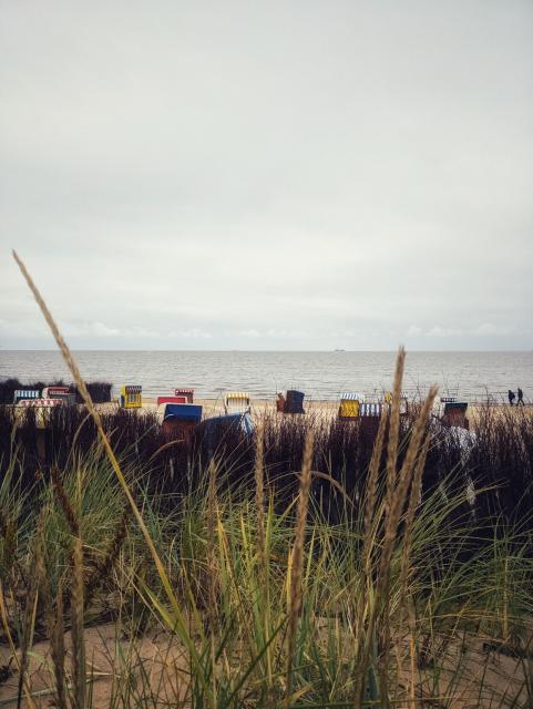 Strandkörbe an einem Strand. Im Vordergrund ist Gras auf einer Düne zu sehen, im Hintergrund das Meer 