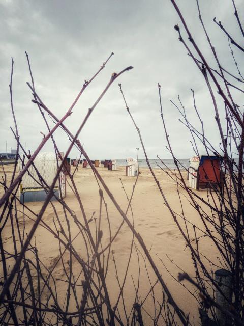 Strand mit Strandkörben. Im Hintergrund sieht man noch etwas Meer. Im Vordergrund sind Zweige 