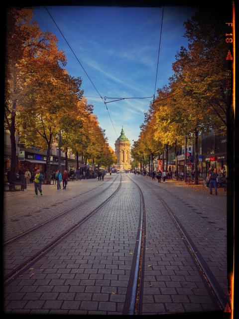 Bild einer belebten Fußgängerzone. Im der Mitte verlaufen Schienen der Straßenbahn. Links und rechts stehen Bäume in herbstlichen gelb und orange Tönen. Am Ende der Fußgängerzone steht der Mannheimer Wasserturm. Der Himmel ist blau.