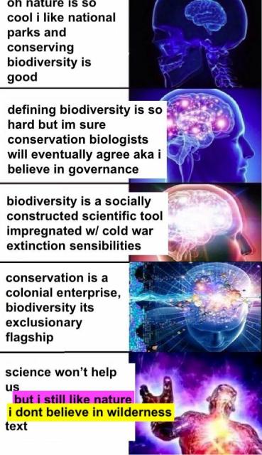 Expanding brain meme.

STEP 1: on nature is so cool i like national parks and conserving biodiversity is good

STEP 2: defining biodiversity is so
hard but im sure conservation biologists will eventually agree aka believe in governance

STEP 3: biodiversity is a socially constructed scientific tool impregnated w/ cold war extinction sensibilities

STEP 4: conservation is a colonial enterprise, biodiversity its exclusionary flagship

STEP 5: science won't help
us [but i still like nature] [i dont believe in wilderness] [text]
