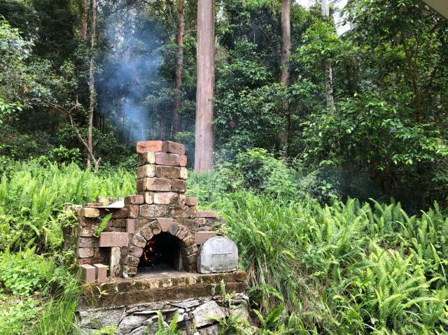 Outdoor brick pizza oven amongst the ferns. Fire inside, smoke coming out of the chimney.  
