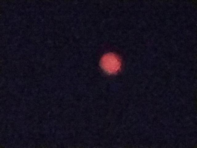 Very poor quality picture of the blood moon, basically just a red blob on a dark background 