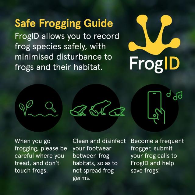 Safe Frogging Guide.
Tread Carefully. 
Clean your footwear between environments.
Record and submit frog calls.