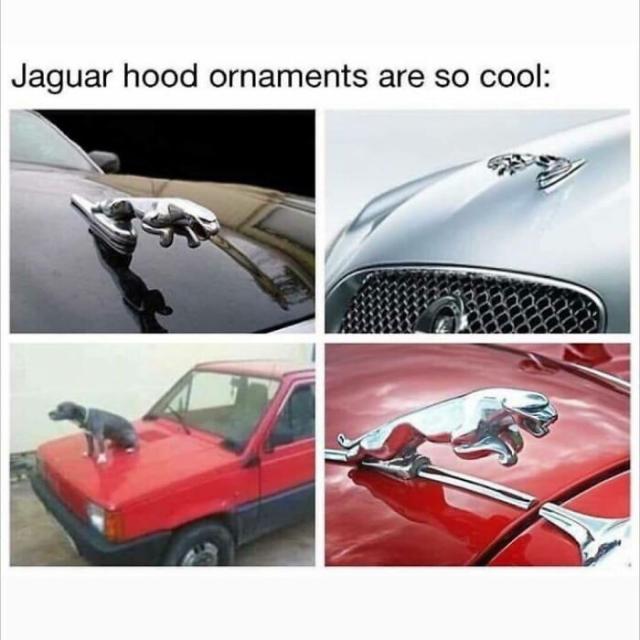 one of these Jags is not like the others