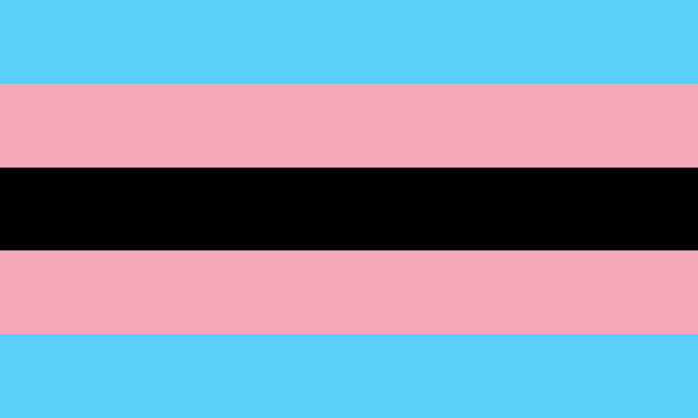 the black trans flag