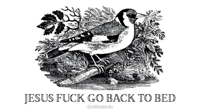 A woodcut of a goldfinch above the text "jesus fuck go back to bed"