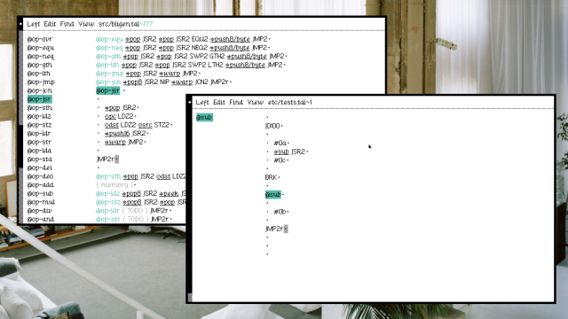 Two text editor windows, with a basic program to the right testing branching opcodes.