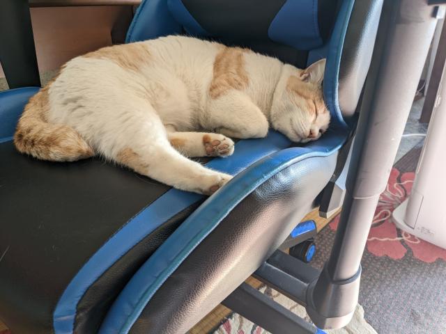 ゲーミングチェアの上で寝ている猫