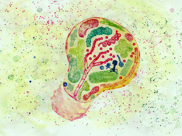 A yellow aquarelle printed lightbulb full of red, green and blue microbe shapes
