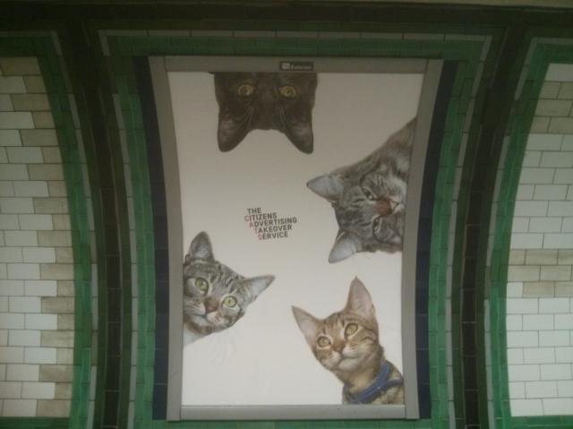 Photo of tunnel in Clapham Common tube station showing a wall with a big picture of 4 cats instead of the usual advertisement.