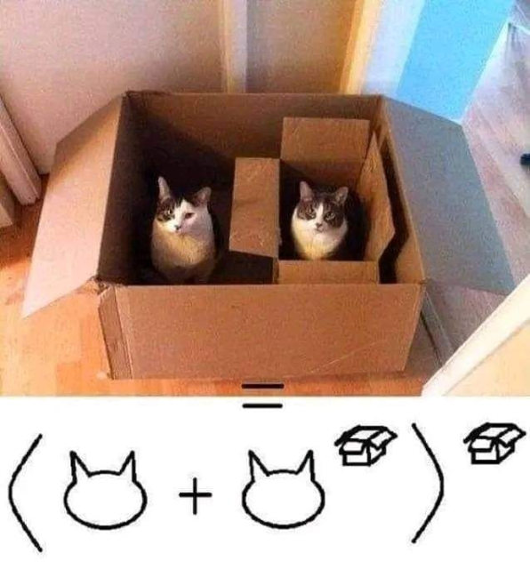A cardboard which contains two things: one cat, and one smaller cardboard box with another cat inside. Caption: (🐱+🐱^📦)^📦