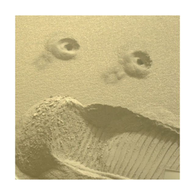 Martian sand...screaming.