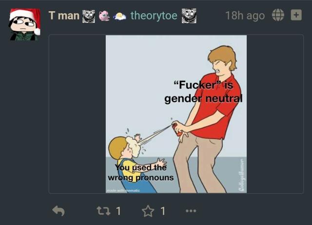 image posted by theoryJoe: taller person pepper spraying a kid. text over kid: you used the wrong pronouns. text over taller person: fucker is gender neutral.