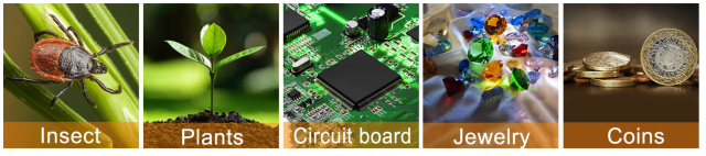 A five-part drawing showing:

Insect
Plants
Circuit board
Jewelry
Coins 