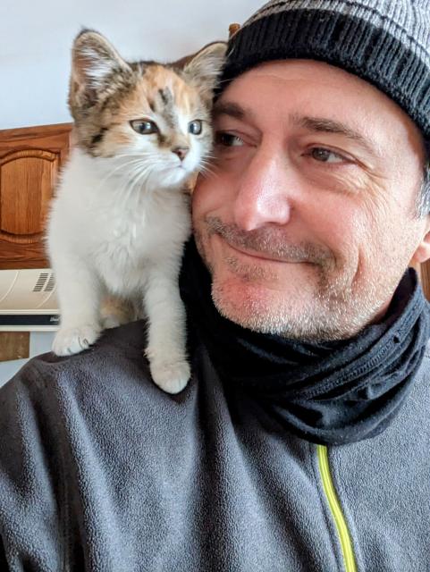 A photo of a calico kitten riding the shoulder of a man in a gray and black stocking hat.