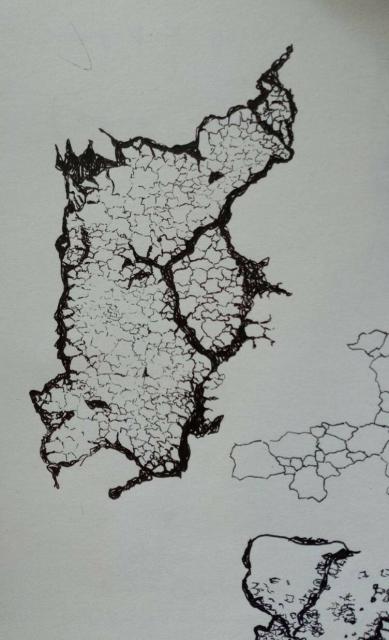A photograph of a pen drawing of lichen with hard black adges. The lichen looks a little like a country on a map. Inside the hard edges are softer, thinner edges like provinces or counties on a map.