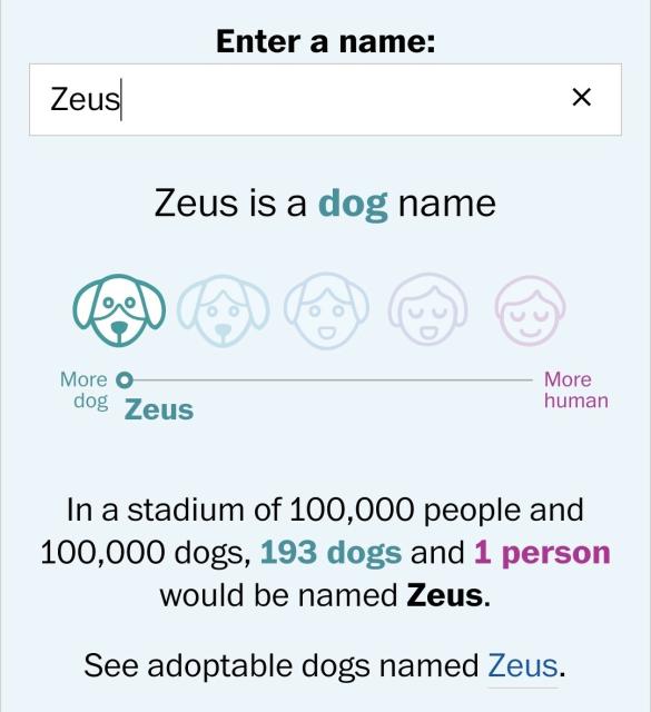 Screenshot of the linked app with the name "Zeus" entered. The result is "Zeus is a dog name. In a stadium of 100,000 people and 100,000 dogs, 193 dogs and 1 person would be named Zeus."