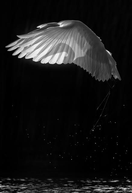 Irma Szabó Like a Fun