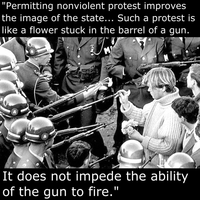 Text: "Permitting nonviolent protest improves the image of the state...Such a protest is like a flower stuck in the barrel of a gun. It does not impede the ability of the gun to fire." Image from 1967 of a Vietnam War protester placing a carnation into the barrel of an M14 rifle held by a soldier of the 503rd Military Police Battalion.