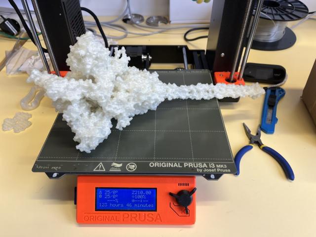 3Dprint of SARS-CoV-2 Spike protein in an open conformation 
