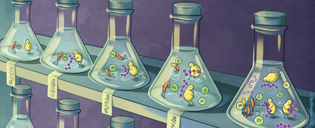 Shelf of laboratory beakers with progressive dates and evolving organisms.