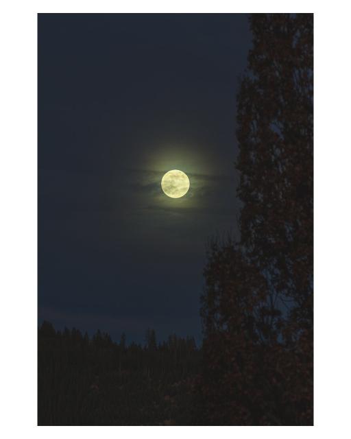 EN: The picture shows the almost full moon behind a few thin clouds. A tree is shown at the right edge of the picture.

DE: Das Bild zeigt den fast vollen Mond hinter ein paar dünnen Wolken. Am rechten Bildrand ist ein Baum abgebildet.